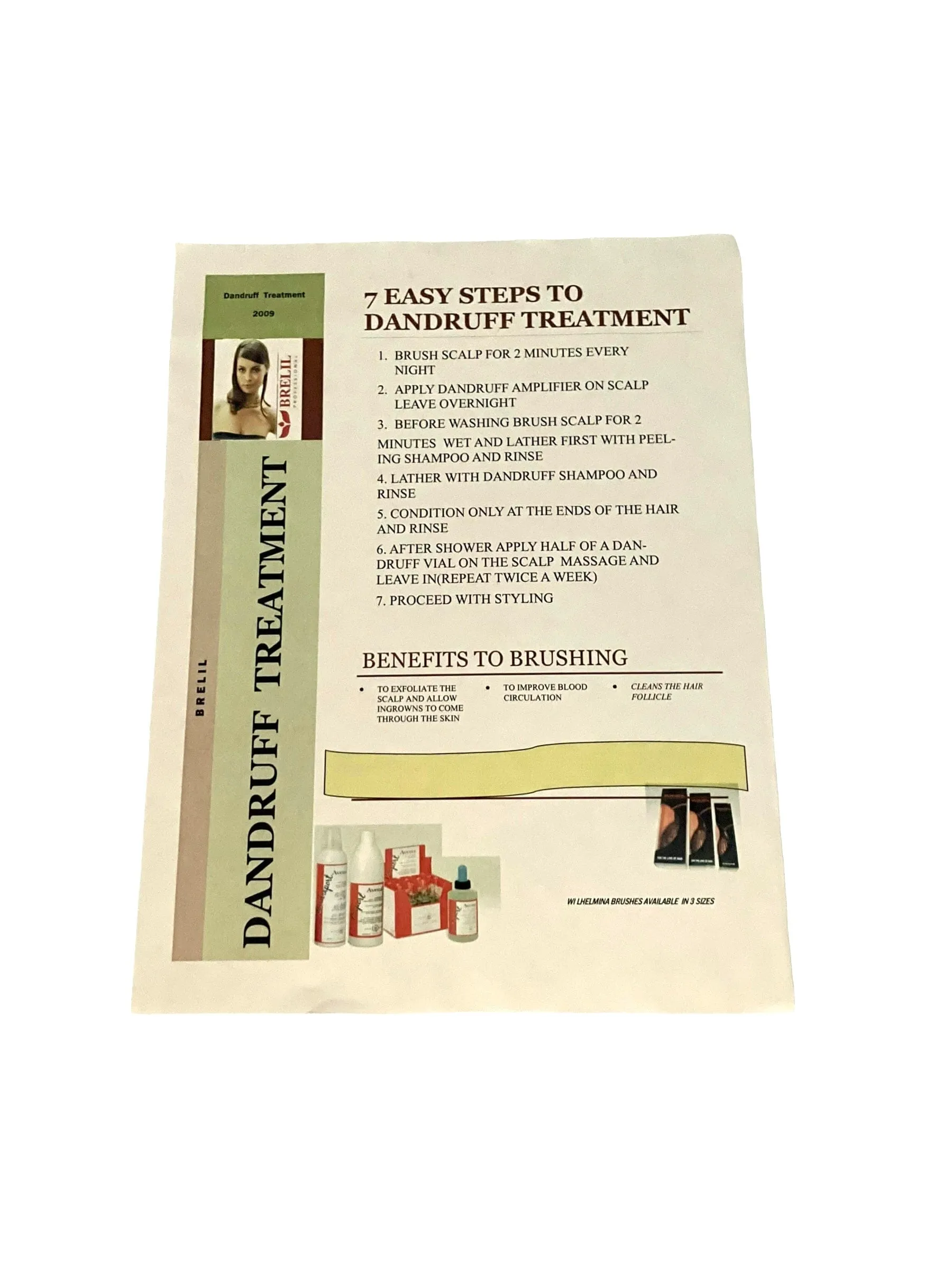 Angel Provence Organic Green Tea Anti Dandruff Shampoo 13 oz