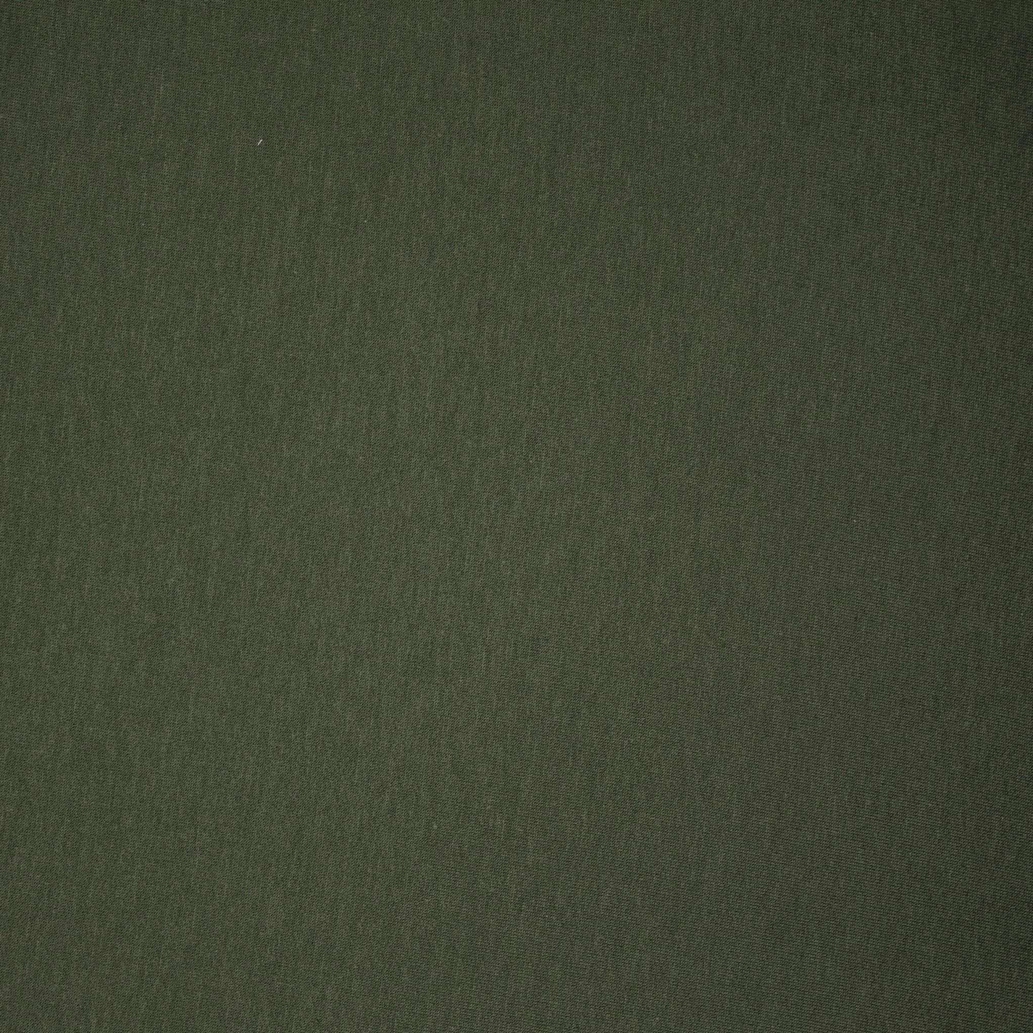 Bowen Bamboo Cotton French Terry Basil ½ yd