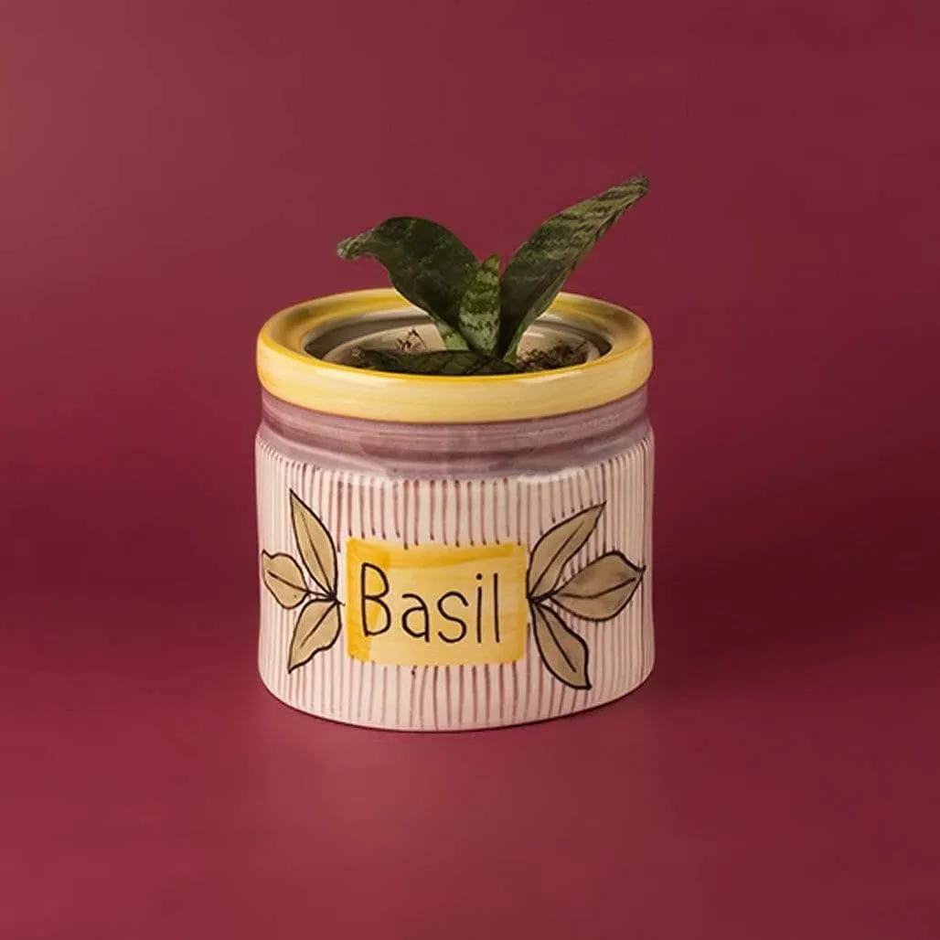 Herb Planter- Basil