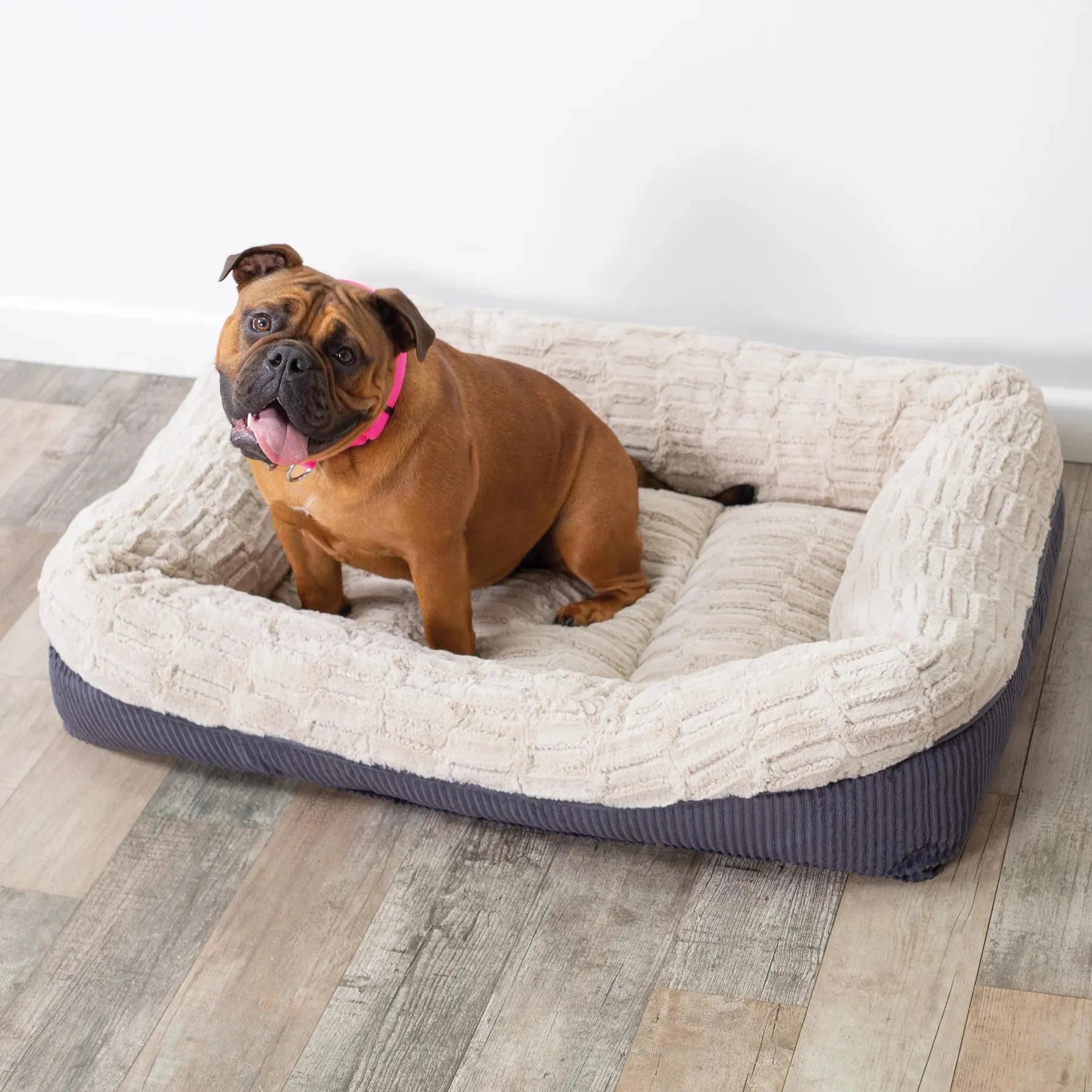 Kazoo Possum Dog Bed