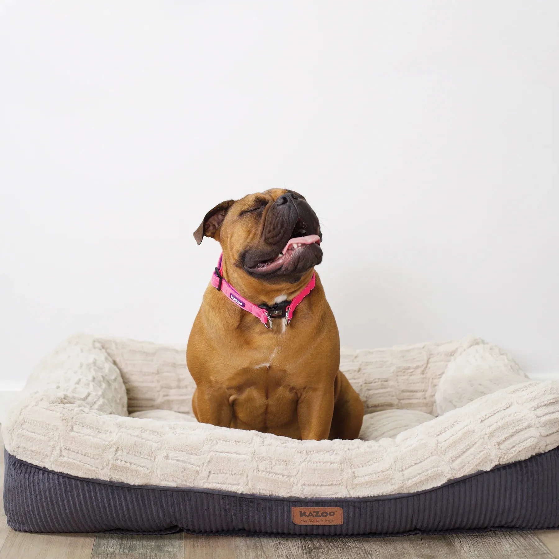 Kazoo Possum Dog Bed